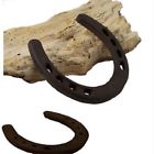 0170s-05208bulk Iwgac Large Horseshoe Bulk Packaged 853585252131