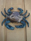 019962307768 Unbranded Solid Brass Blue
