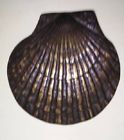 047393855268 Spi Home Solid Brass