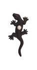 2261749 150-black Waterwood Hardware Lizard Doorbell Id