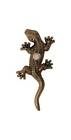 150-pewter Waterwood Hardware Lizard Doorbell