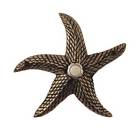 154-pewter Waterwood Hardware Starfish Doorbell