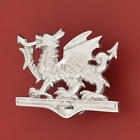 325687 Signature Hardware Welsh Dragon Brass Door Knocker In Chrome