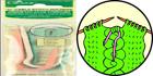 51221354281 341 Clover Stitch Holders
