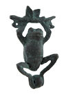7257394 50866 Spi Daring Dangling Frog 725739508664