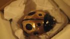Mhr20 Brass Michael Polished Handcrafted Ladybug Nib Healy Ringer Doorbell