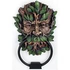 Fdg759 Door Azuregreen Greenman Knocker