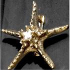 Srk-1 Mayer Starfish Knocker Door Brass Mill