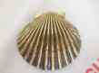 Mhr06 Michael Ocean Ringer Bay Designs Beach Doorbell Door Healy Scallop Bell