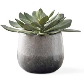 60261 Uttermost Dudleya Green And Aged White Blue Grey Ombre