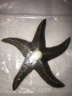 Ww154p Waterwood Solid Brass Starfish Doorbell Pushbutton Lighted New In Sealed Package Nautical