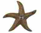 Ww154ab Waterwood Surface Mount Doorbell Cover