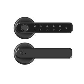 Ty196 Xenocam 793101193435 Fingerprint Smart Door Lock Keyless Entry 3-in-1 Lever Unloc