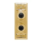 Carlon Dual (2 ) Wired Brass Finish Doorbell Buttons DH1602 Non Lighted. Fixed Price $39.99.
