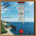 New Woodstock Of Polaris Wind Silver DCS22 Free Shipping. Fixed Price $30.00.