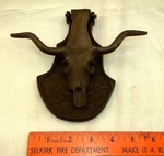 Texas Longhorn Door Knocker Cast Iron Bull Steer. Fixed Price $40.00.