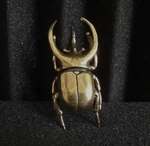 Vintage Style Solid Brass Copper Rhinoceros Insect Statue Sculpture. Fixed Price $16.93.