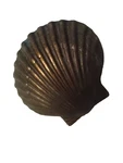 Scallop Doorbell Ringer By Michael Healy - Oiled Bronze Finish. Fixed Price $30.00.