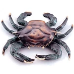 Spi 30748 Crab Doorknocker. Fixed Price $121.17.