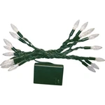 Danson Decor Mini Led Battery Operated Light Set - X78000. Fixed Price $11.99.