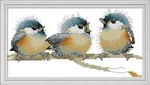 Cross Kits, Three Birds Easy Patterns Stitching Embroidery S.... Fixed Price $12.25.