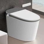 Smart One-piece Toilet With Built-in Bidet, Auto Open And Close, Powerful. Fixed Price $2599.92.