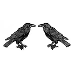 Raven (2 Pack) Embroidered Iron-on Patch Gothic Crow Bird Exclusive Design. Fixed Price $9.99.
