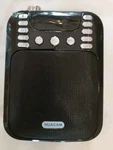 Huacam Voice Amplifier With 2.4G Wireless Microphone Headset, Multichannel. Fixed Price $42.00.