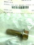New Genuine Oem Arctic-cat Hex Head Cap Screw 8409-030 Fast Shipping. Fixed Price $6.49.