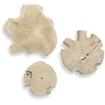 Uttermost 04392 Kalani Natural Teak Wood Outdoor Wall Art, Set Of. Fixed Price $400.80.
