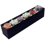 Psoirgcnh Modern Metal Steel Trough Planter - Rectangle Black Indoor/outdoor. Fixed Price $44.35.