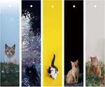 Japanese Wind Chime Tassels Catcher Random 5 Pvc Cards, Accessories For. Fixed Price $10.22.