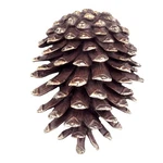 Pinecone Doorknocker. Fixed Price $401.89.