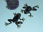 Brass Amphibian Dwarf Doorbell Set Of 02 Pieces Vintage Style Frog Knocker EK819. Fixed Price $171.00.