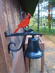 Montague Metal Hand Painted Cardinal Bird Hanging Dinner Bell. Fixed Price $85.00.