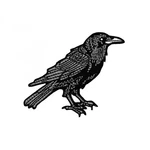 Raven Embroidered Iron-on Patch Gothic Crow Bird Exclusive Design. Fixed Price $5.99.