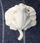 Frog Door Knocker Lily Pad Painted White Two Mounting Holes Cast Iron Unmarked. Fixed Price $15.99.