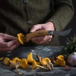 Opinel No. 8 Mushroom Stainless Steel Beech Folding Knife Brush *free Ship. Fixed Price $39.90.