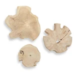 Uttermost 04392 Kalani 20" Tall Teak Wood Botanical Wall Art Set - Bleached. Fixed Price $400.80.