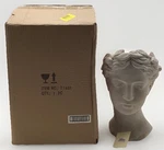 & B Home White Visage Cement Vase Girl With Flowers In Hair. Fixed Price $29.24.